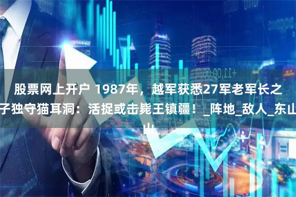 股票网上开户 1987年，越军获悉27军老军长之子独守猫耳洞：活捉或击毙王镇疆！_阵地_敌人_东山